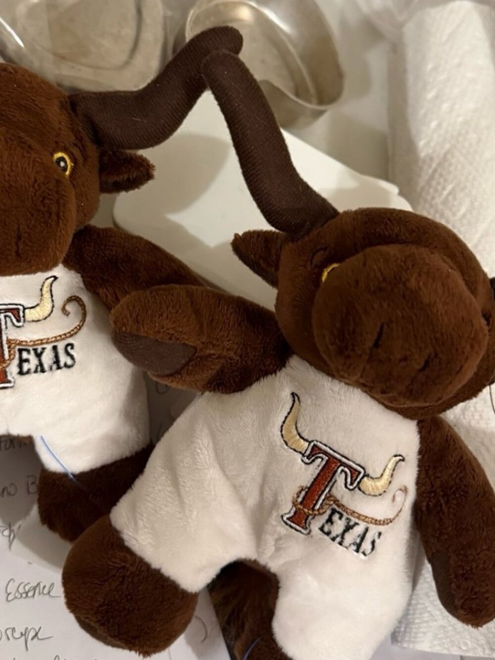 Ty Beanie Texas Longhorns